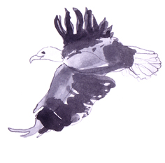 Eagle Eye at the Innsbruck School; drawn by Saskia Sievert